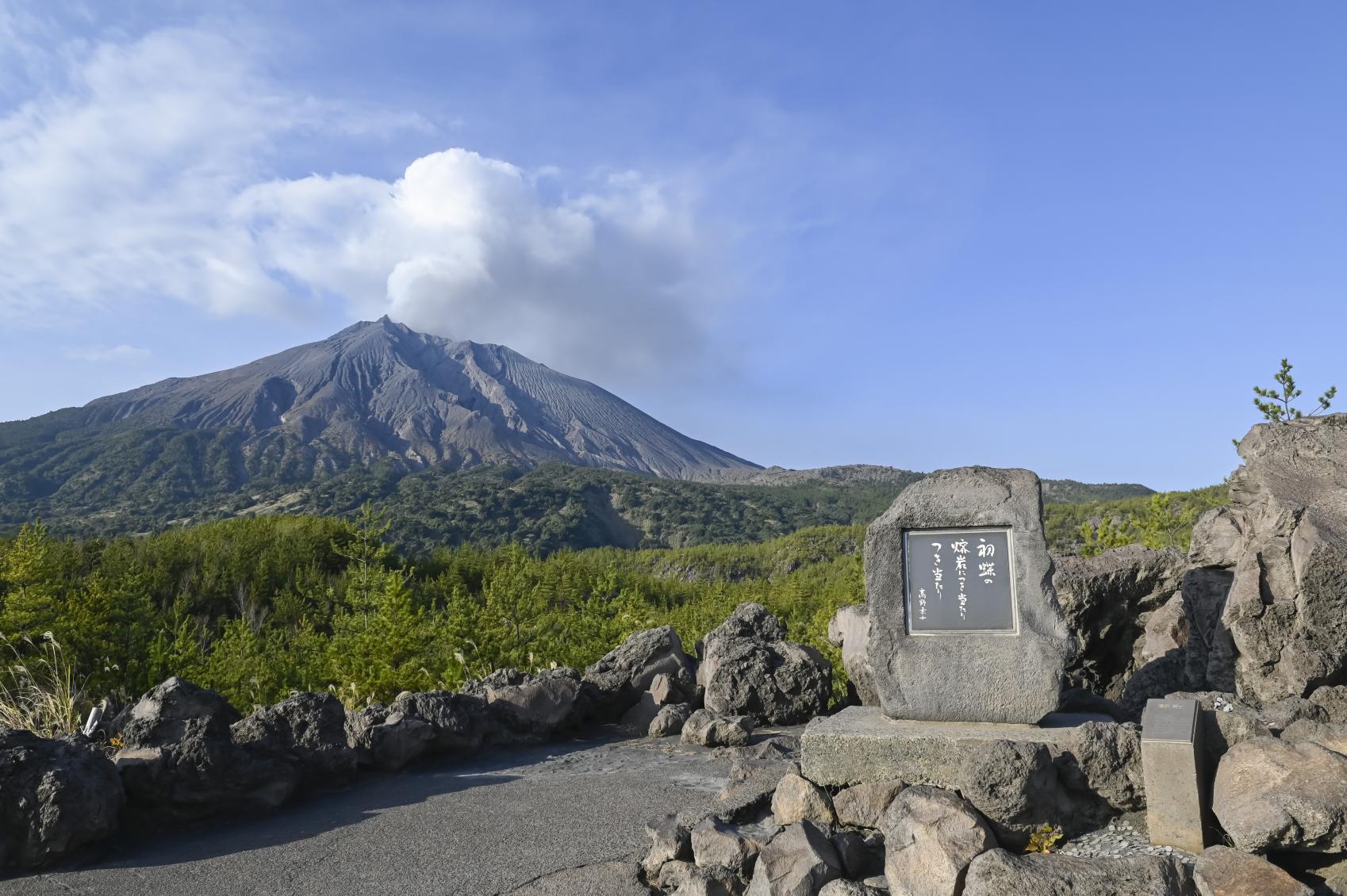 桜島・有村溶岩展望所の見どころ完全解説！昭和火口の絶景とアクセス情報