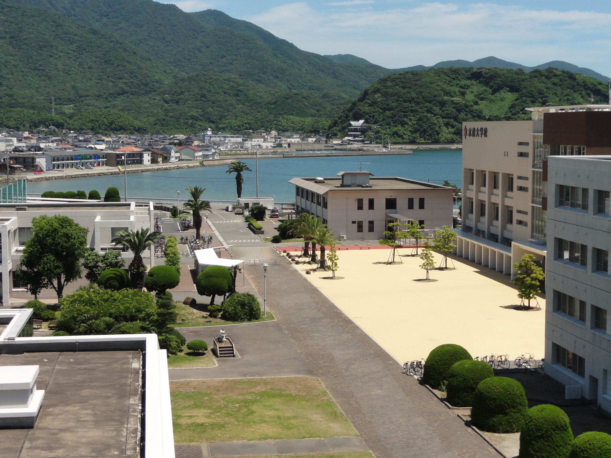 水産大学校の偏差値と就職先の実態｜一般大学との違いや評判を徹底検証
