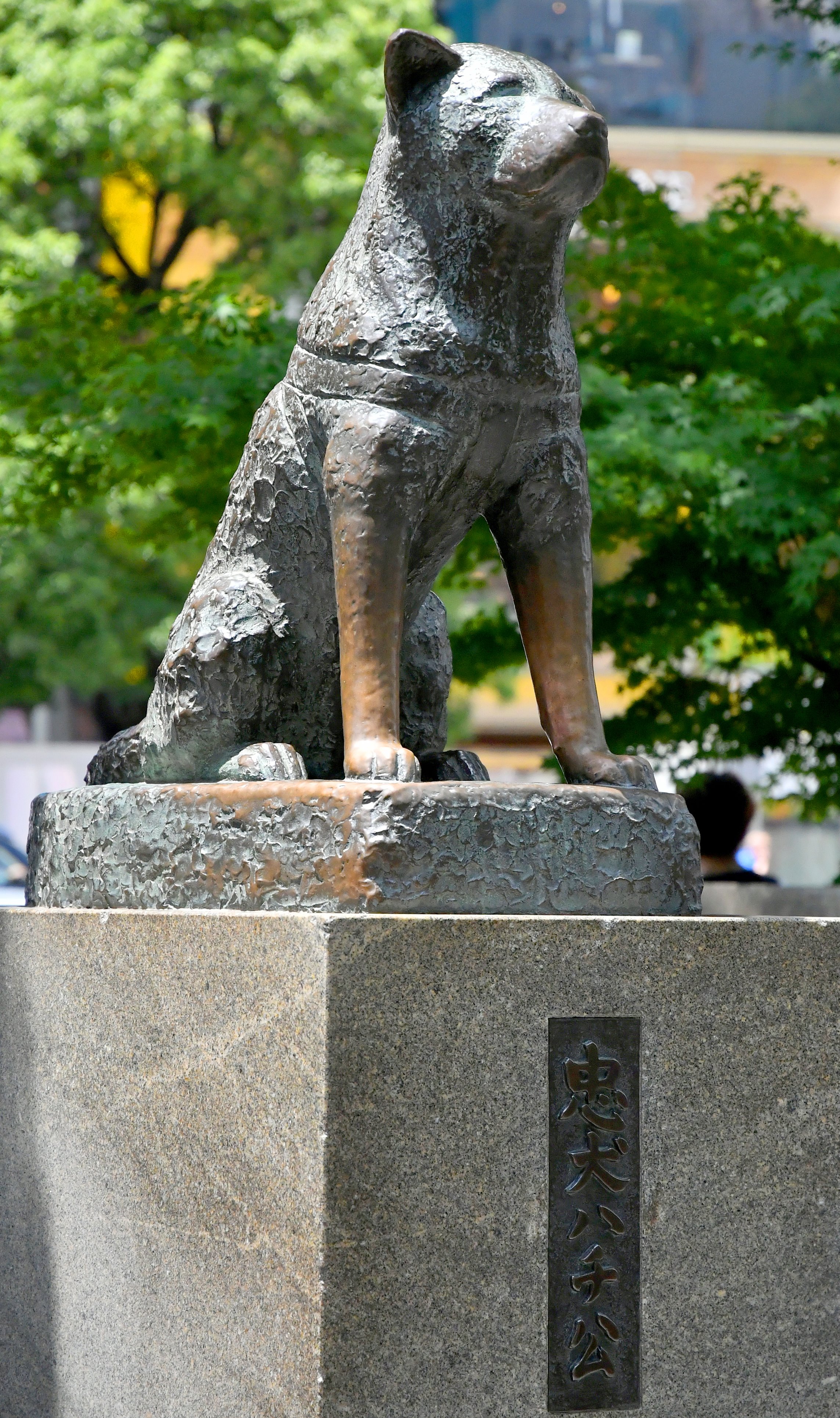 忠犬ハチ公像の真相と激動史｜10年待った理由と再開発の行方