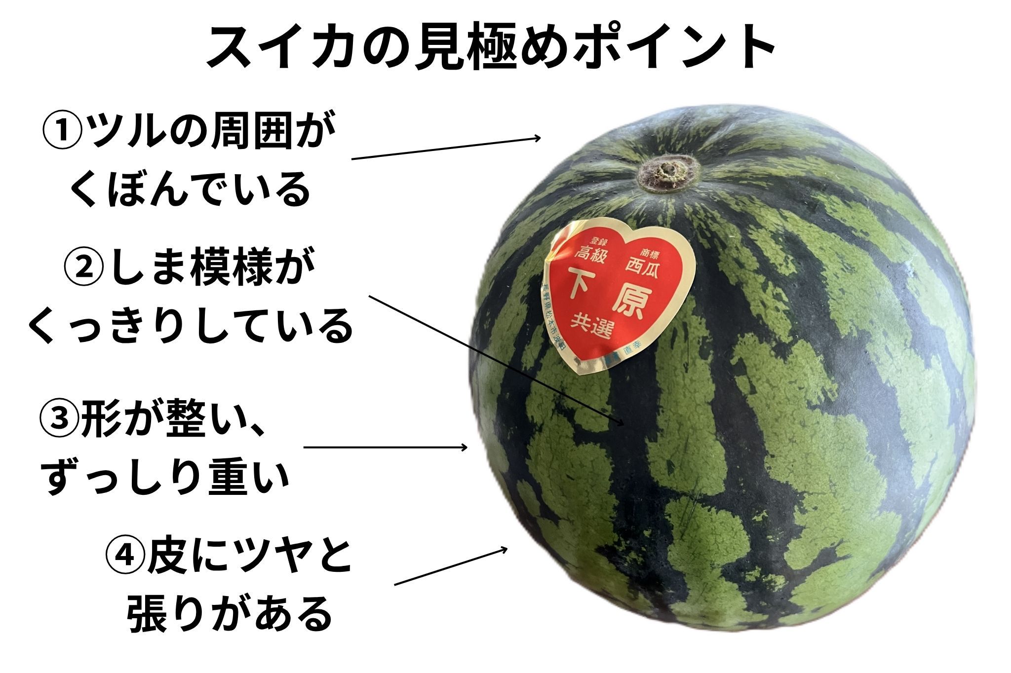 おいしいスイカの見分け方決定版！プロが明かす完熟サインの真相