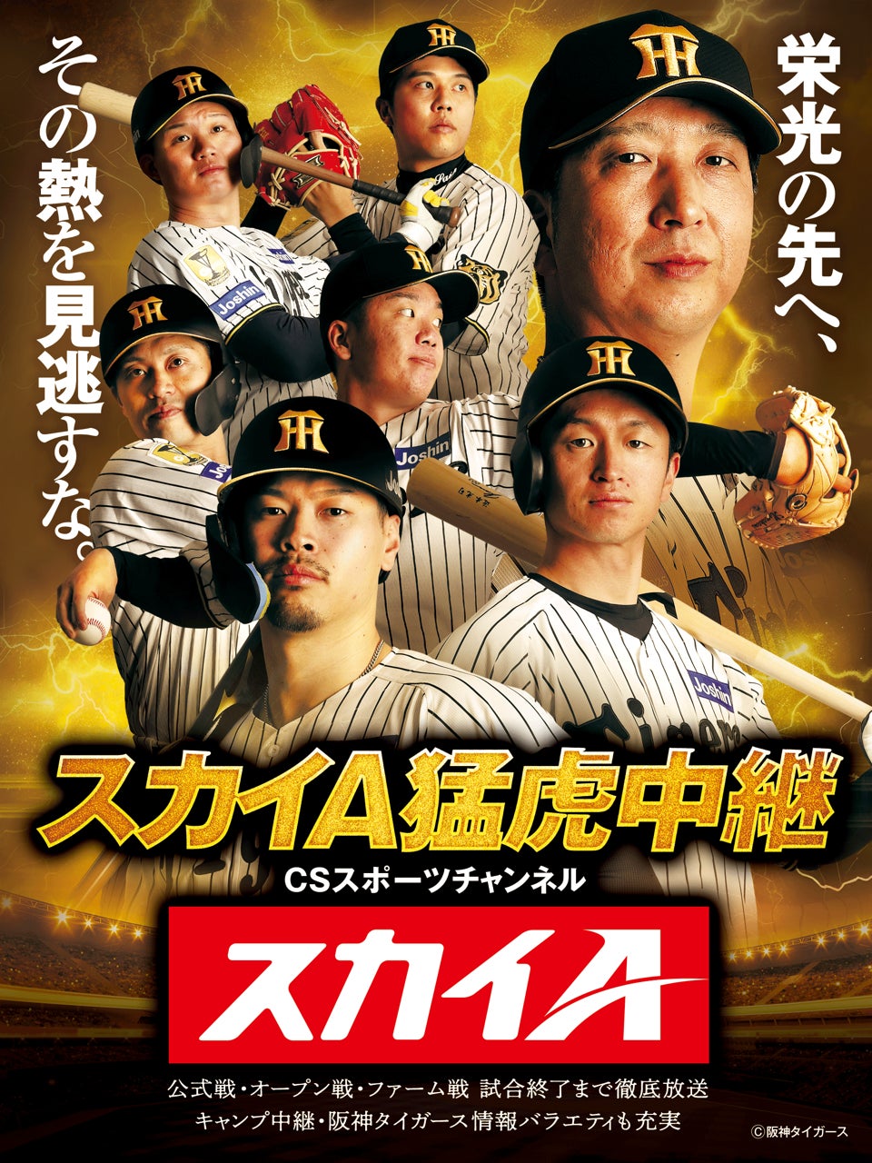 阪神タイガースの放送予定2026｜地上波・ネット配信の完全比較