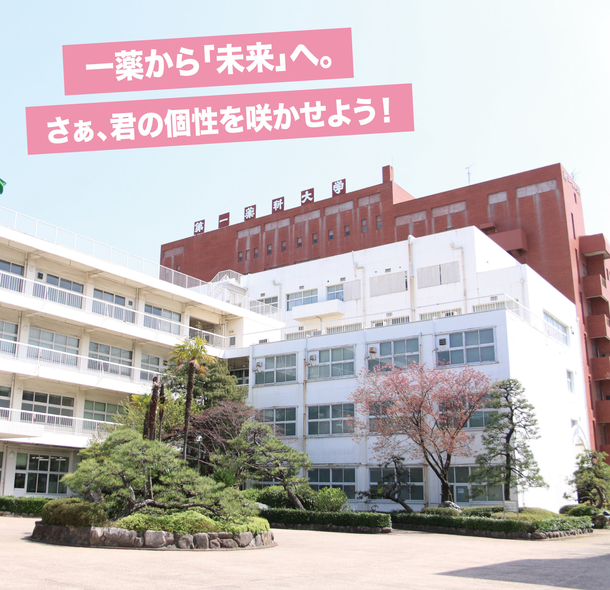 第一薬科大学はやばい？偏差値・国試合格率と看護の真実【2026】