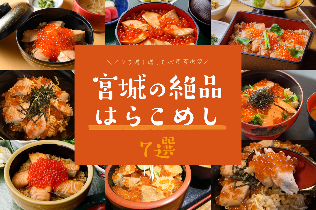 仙台はらこ飯の旬と名店2026！地元民が推す決定版と駅弁の真相