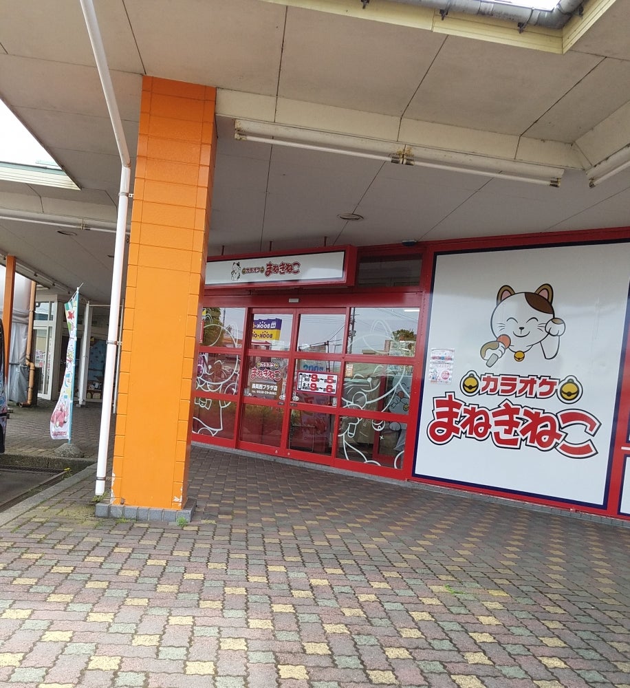 まねきねこ長岡西プラザ店の料金と持ち込みの真相！お得な予約術