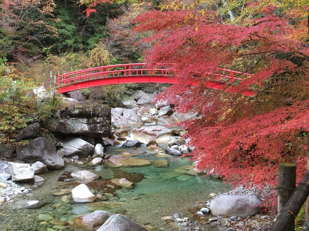 夕森渓谷の絶景と竜神の滝を徹底取材！紅葉見頃からキャンプ情報まで