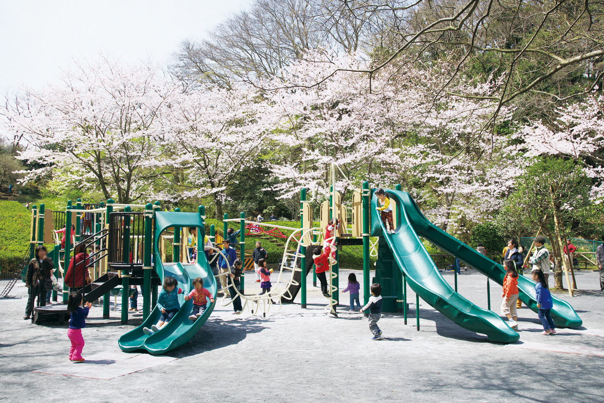 新林公園の魅力と見どころ完全ガイド！混雑状況や駐車場も徹底解説