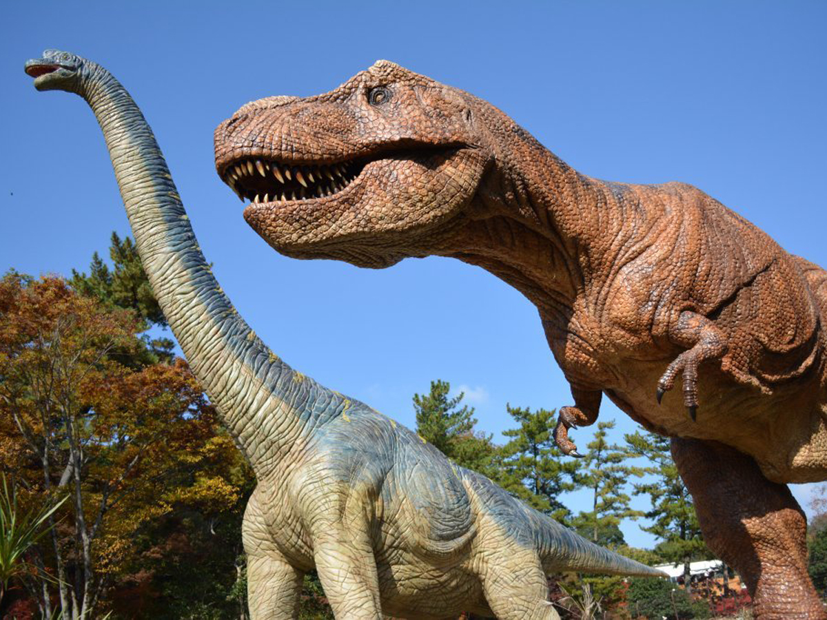 岡崎市東公園が完全無料で大満足できる秘密｜動物園・巨大恐竜・混雑攻略まで解説
