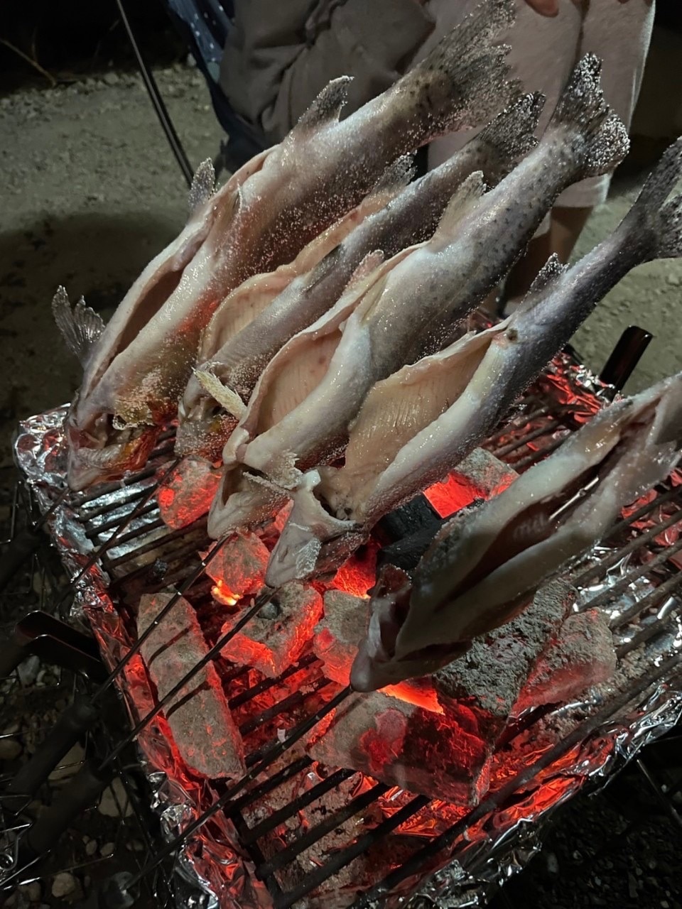 プロが教えるニジマスの焼き方！パサつきと生臭さを消す極上塩焼き術