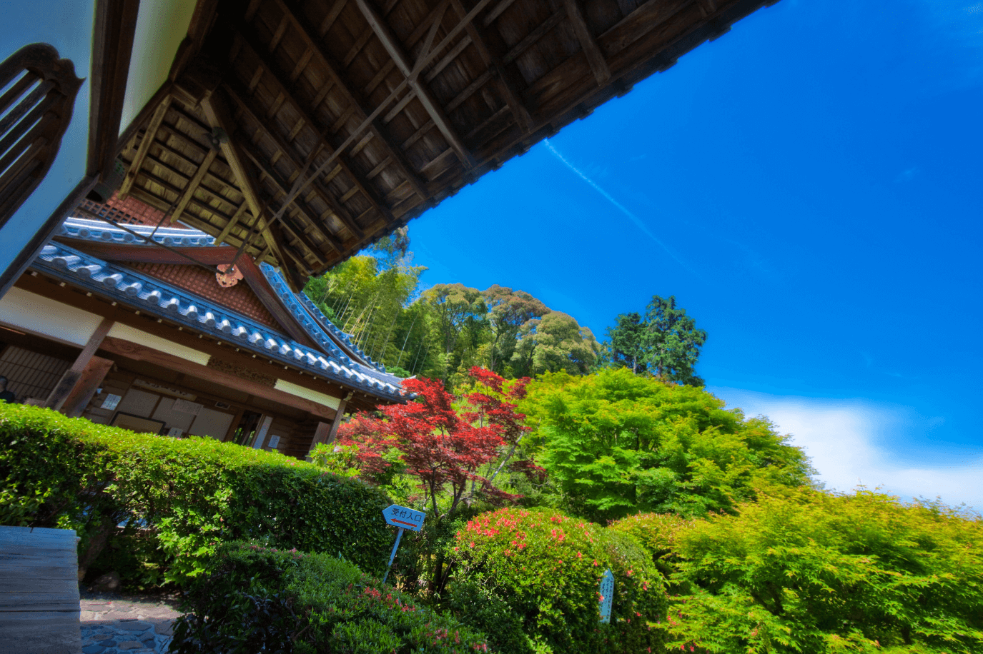 鈴虫寺で願いが叶う噂の真相は？幸福地蔵の秘密と正しい参拝作法