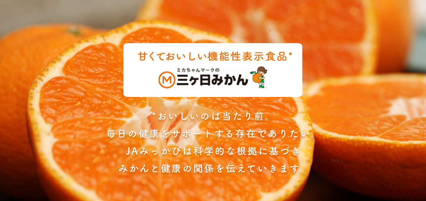 なぜ三ヶ日みかんは別格か？青島と早生の違いと2026年最新相場
