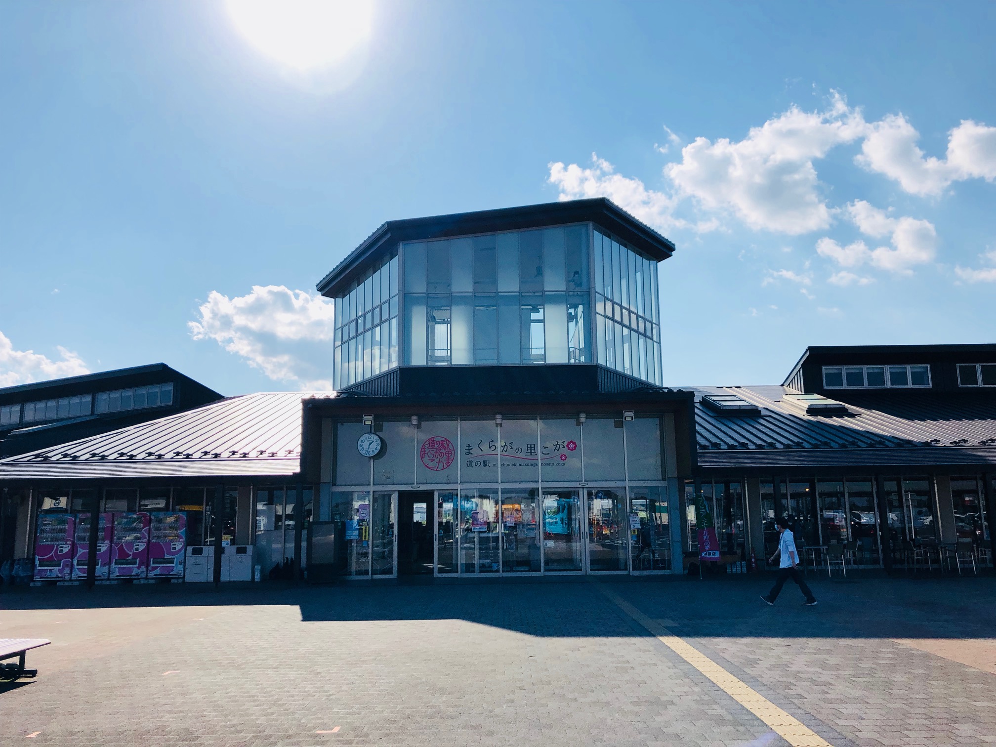 道の駅まくらがの里こがの魅力全貌！人気パンや限定ランチと混雑回避術