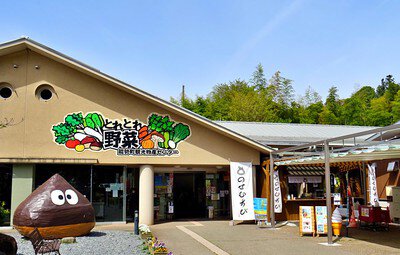 【動画まとめ】 道 の 駅 能勢 くり の 郷 最新ニュース速報 2026 #804