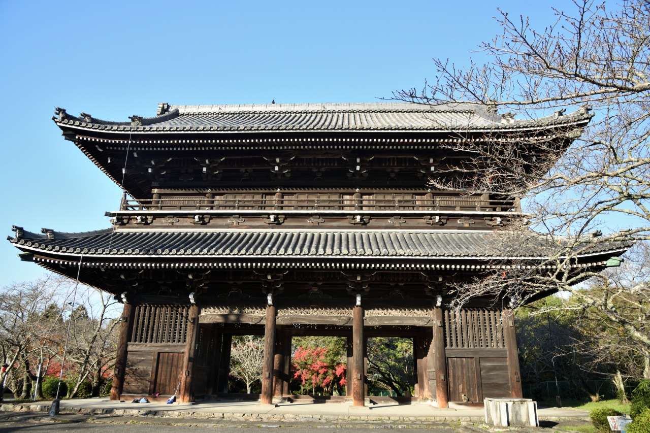 和歌山・根来寺の真実！秀吉の焼き討ち耐えた国宝大塔と絶景を徹底解剖
