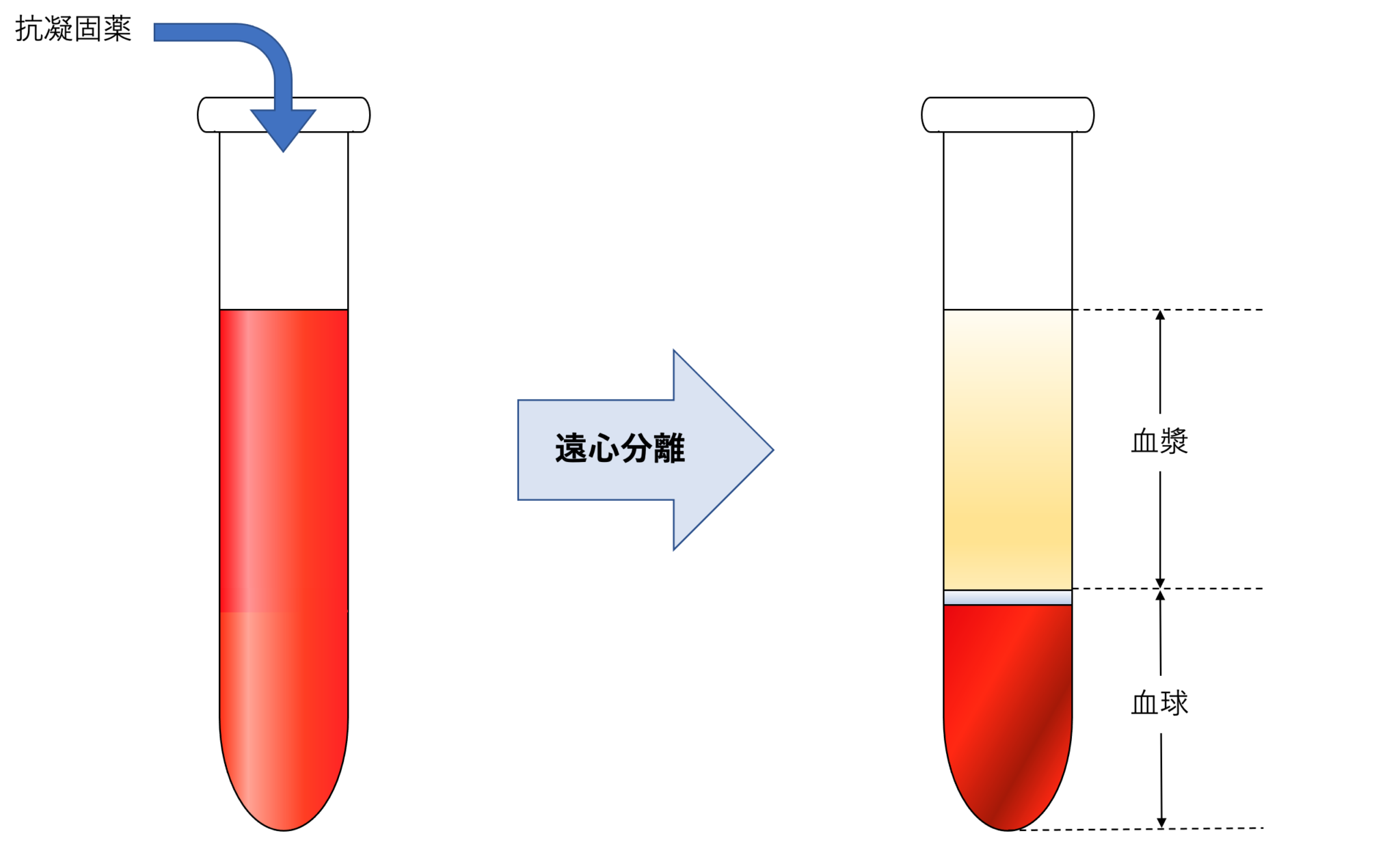 血液型の相性の真実！最強ペアと破滅の理由をデータと心理学で徹底検証