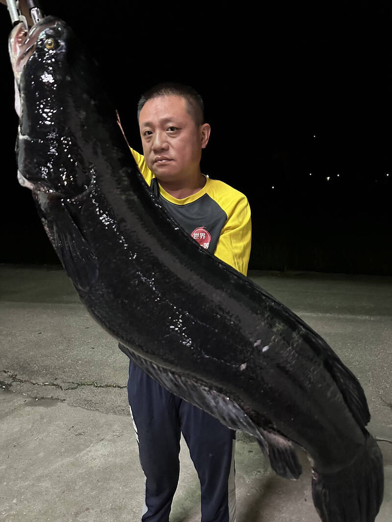 魚偏に虎「鯱」の読み方と由来｜海の王者と名古屋城金鯱の謎