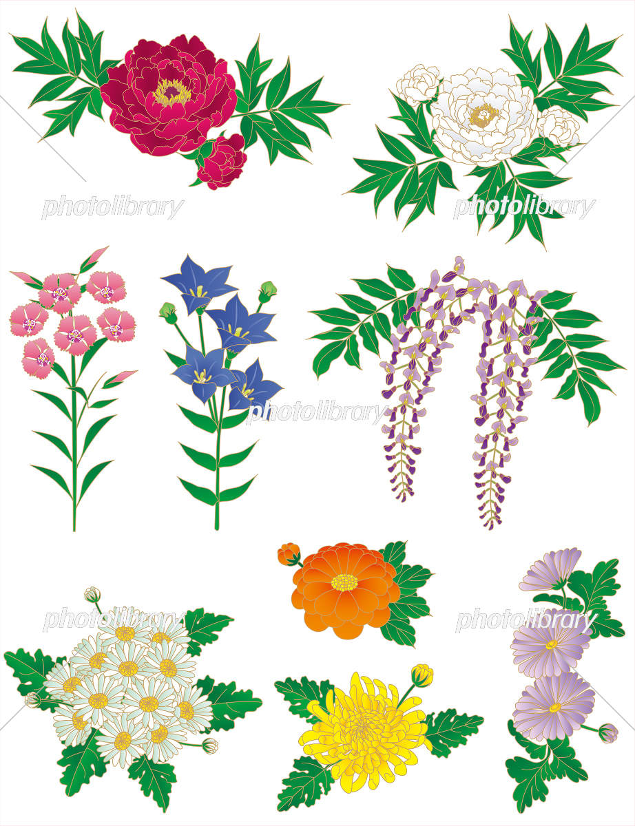 日本の美意識を宿す「和の花」図鑑｜四季の種類と風流な飾り方