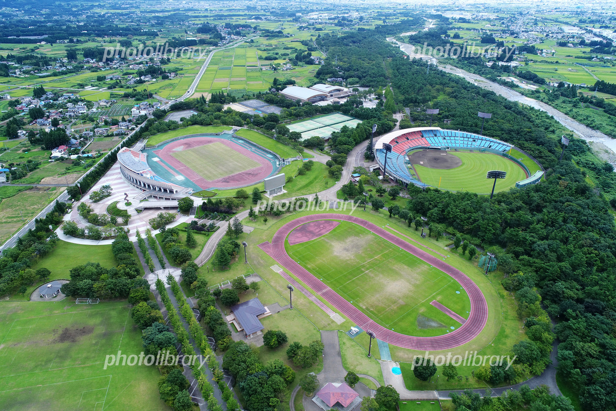 あづま総合運動公園のイチョウ並木と遊具を徹底解剖！2026完全版