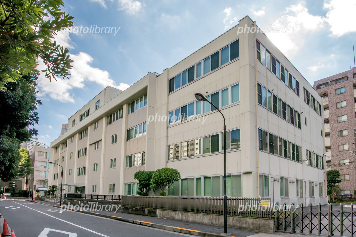 芝税務署は予約なしで門前払い？2026最新受付と混雑の真相を追う