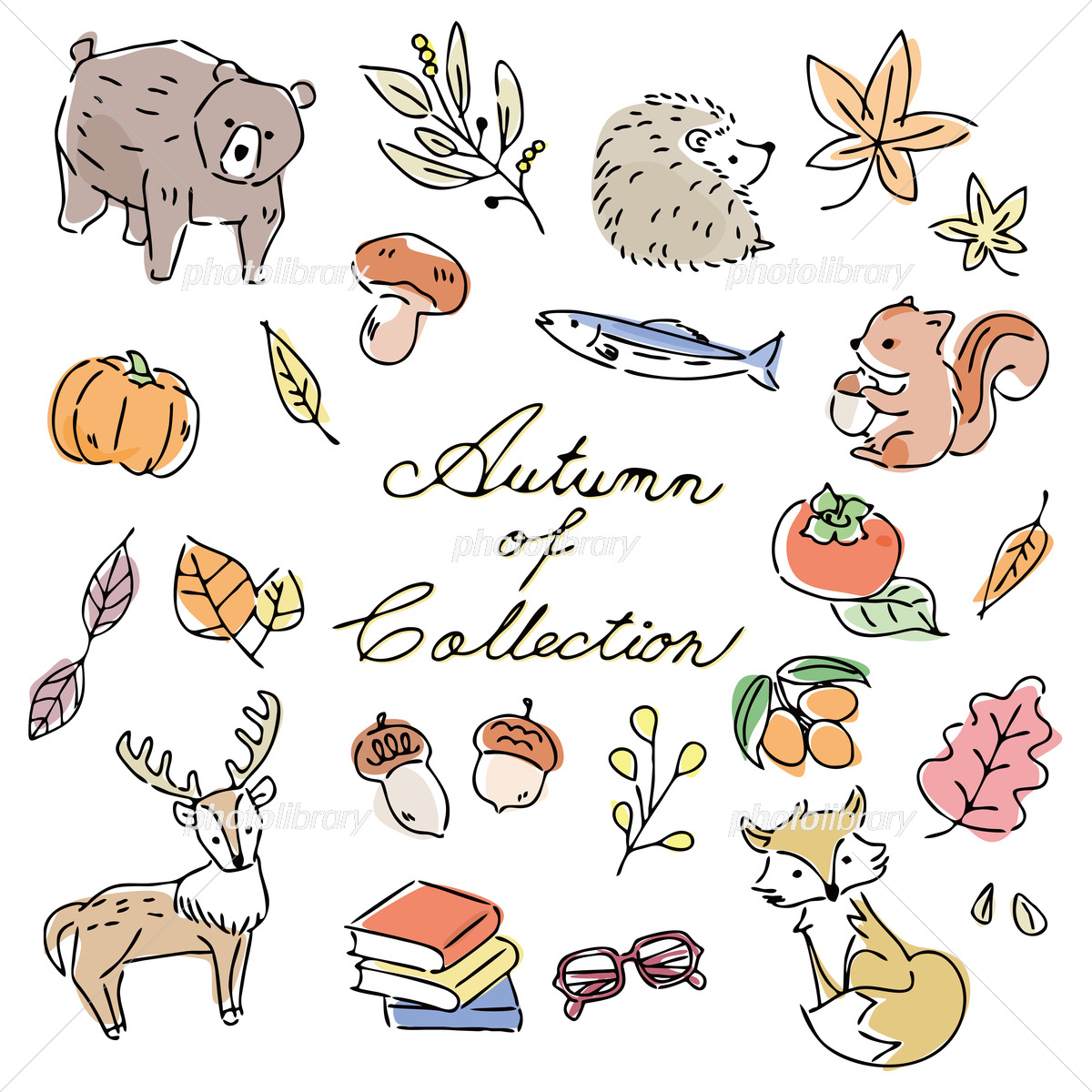 【2026最新】秋のイラスト素材完全ガイド！おしゃれ＆商用フリー厳選