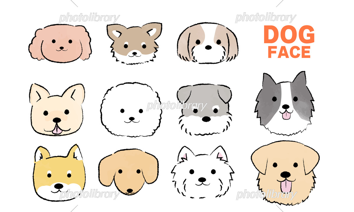 丸と三角でプロ級！犬の簡単イラスト描き方と失敗しない最新テクニック