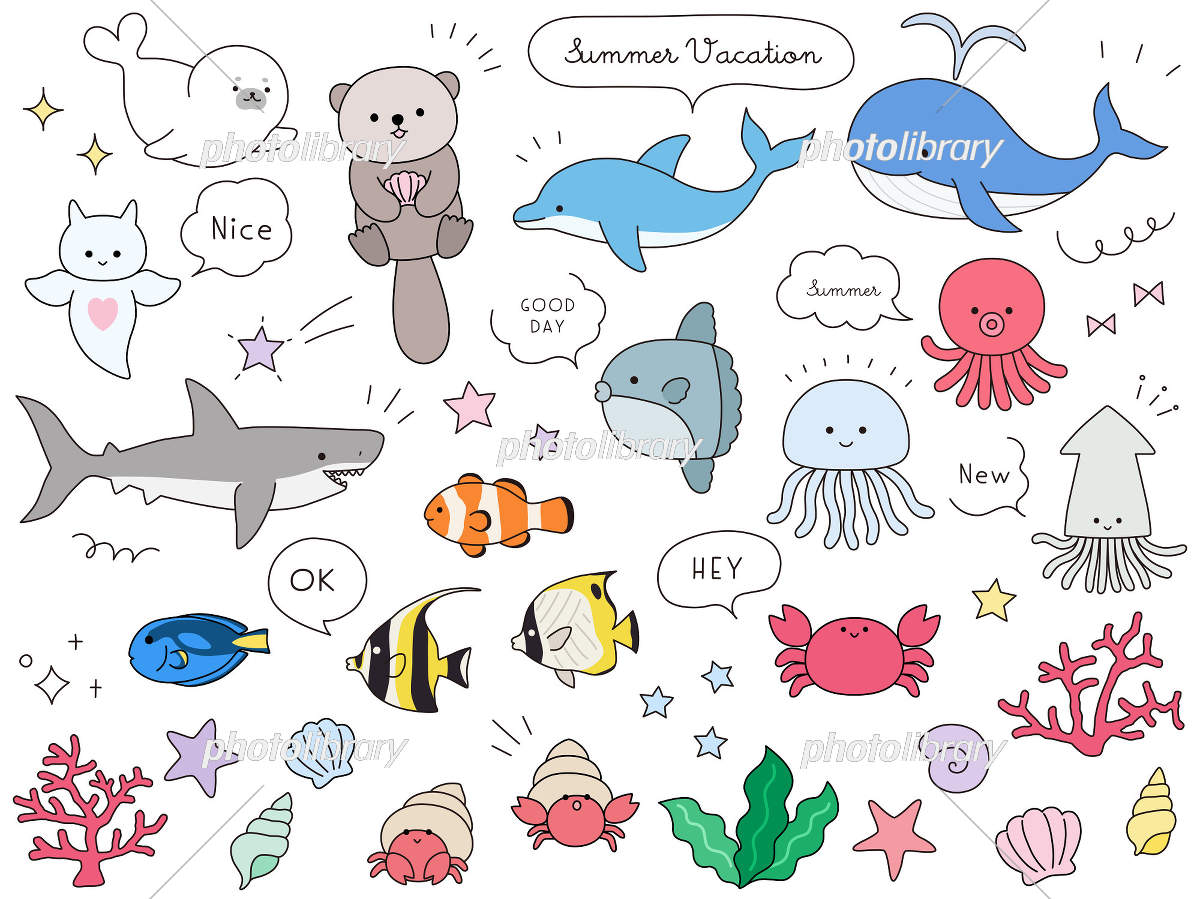 海の生き物のかわいいイラスト決定版！無料素材と簡単な描き方・商用利用まで
