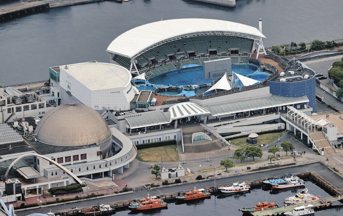 名古屋港水族館リニューアルで何が変わる？シャチの真相と工事時期を徹底解説