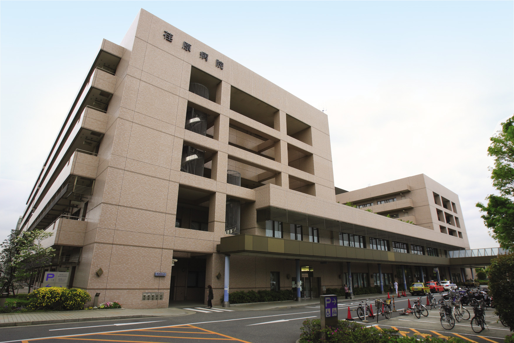 都立荏原病院のリアルな評判！初診予約の盲点と2026面会制限を検証