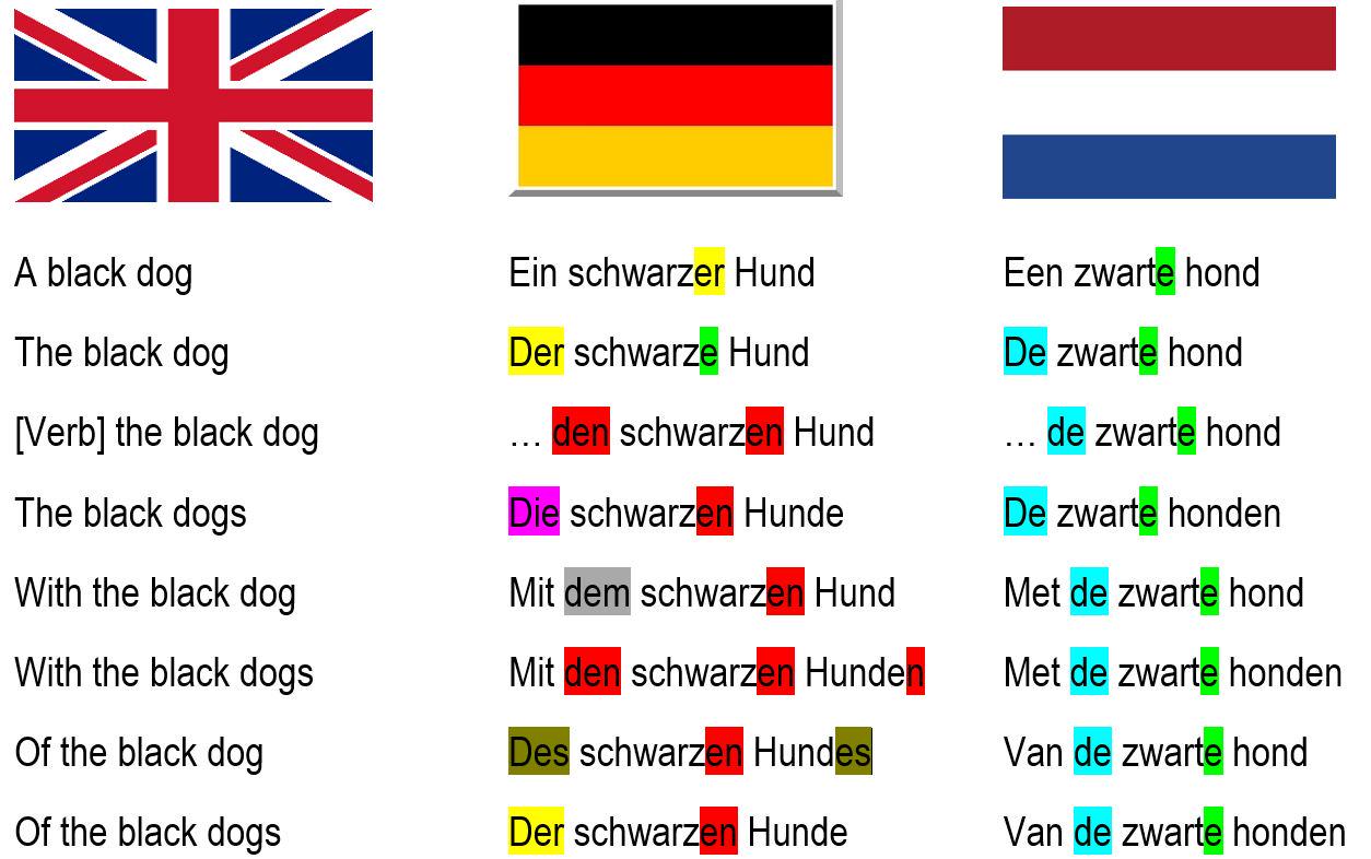 オランダでドイツ語は本当に通じる？嫌がられる噂の真相を徹底解説