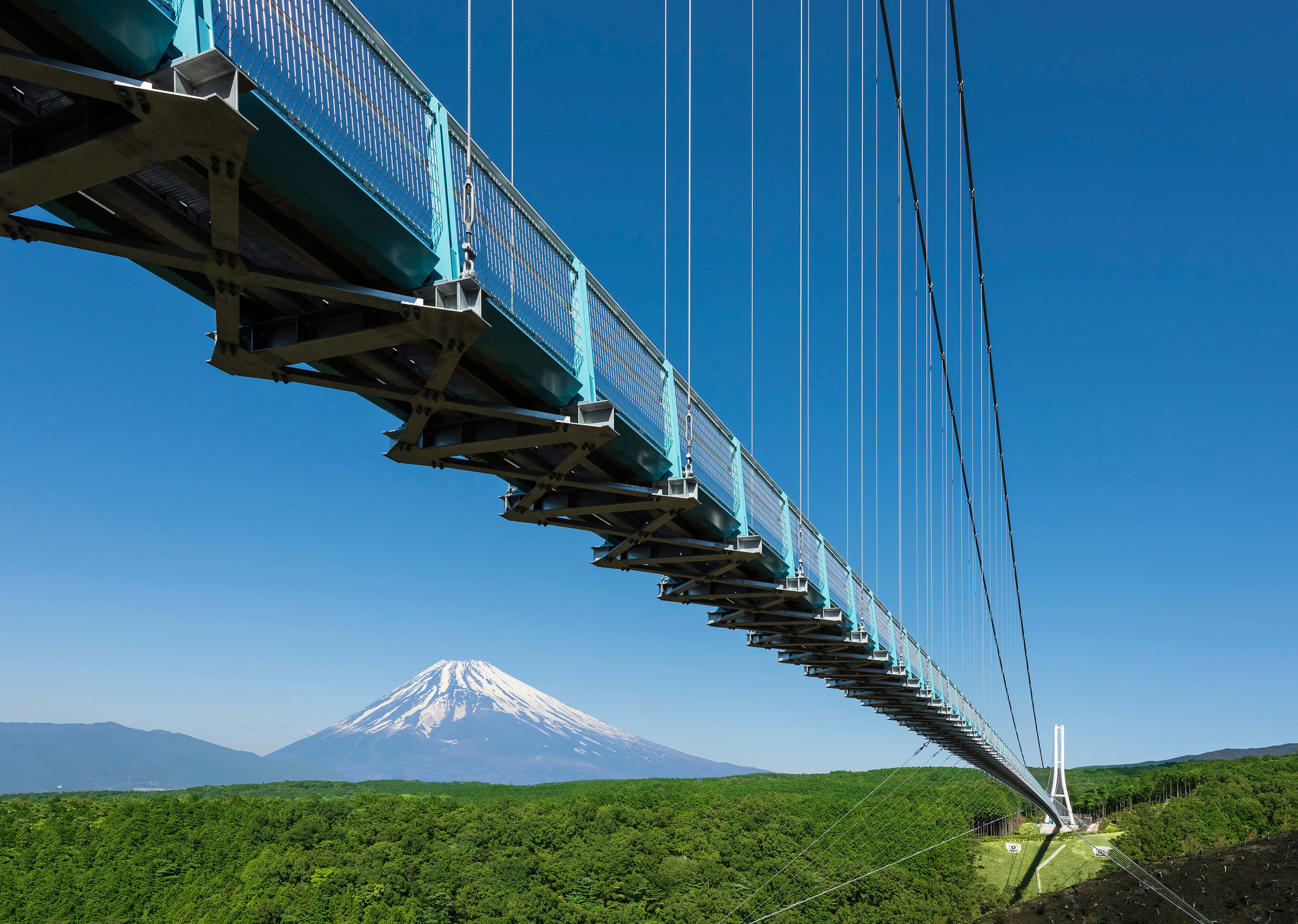 スカイウォークの魅力と攻略法！富士山絶景と最新割引を徹底解説