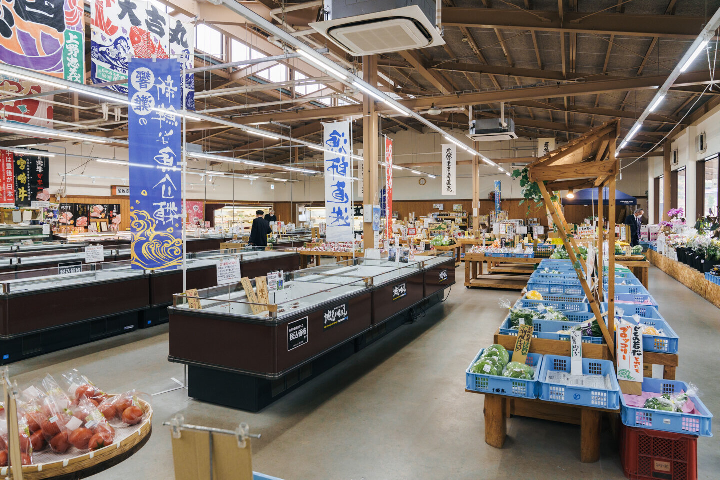 産地直送市場 海と大地の真価とは？北九州若松の鮮魚と野菜を徹底検証