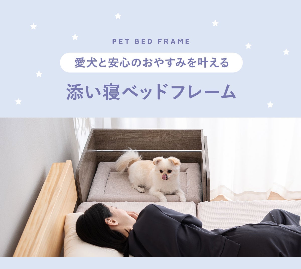 一緒に寝れるペットの真実！犬猫から小動物の圧死リスクまで徹底解説