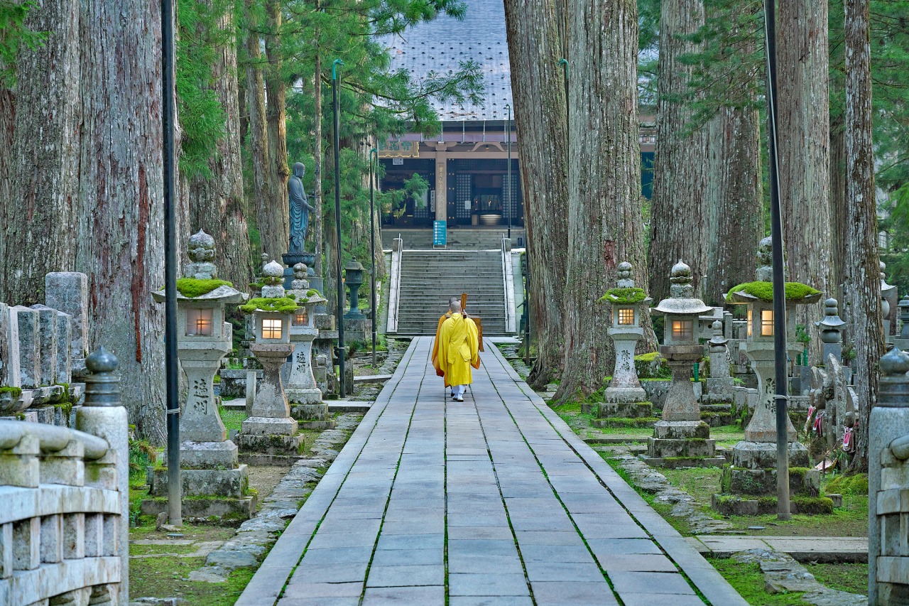 高野山奥の院の深層｜空海入定信仰の真相と20万基の供養塔を歩く