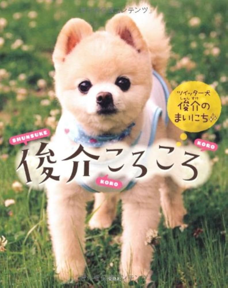 元祖アイドル犬・俊介くんの軌跡と柴犬カット誕生の真相