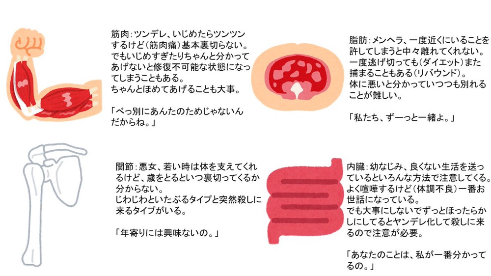 「筋肉は裏切らない」元ネタの真相と科学的根拠！筋肉体操の今を追う