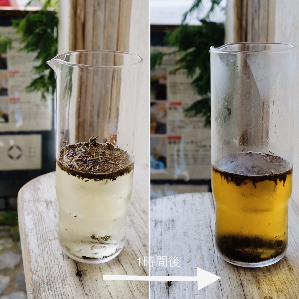 水出しほうじ茶の黄金比と抽出時間！まずい失敗や腐るリスクを防ぐ極意