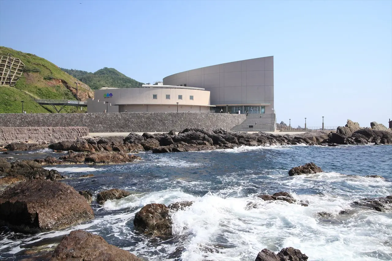男鹿水族館Gao徹底攻略2026｜豪太の近況とお得な割引・混雑回避