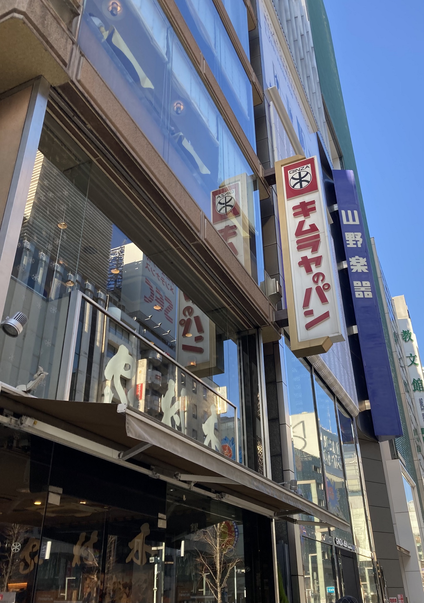 銀座木村家ランチのパン食べ放題と酒種あんぱん攻略！2026最新取材