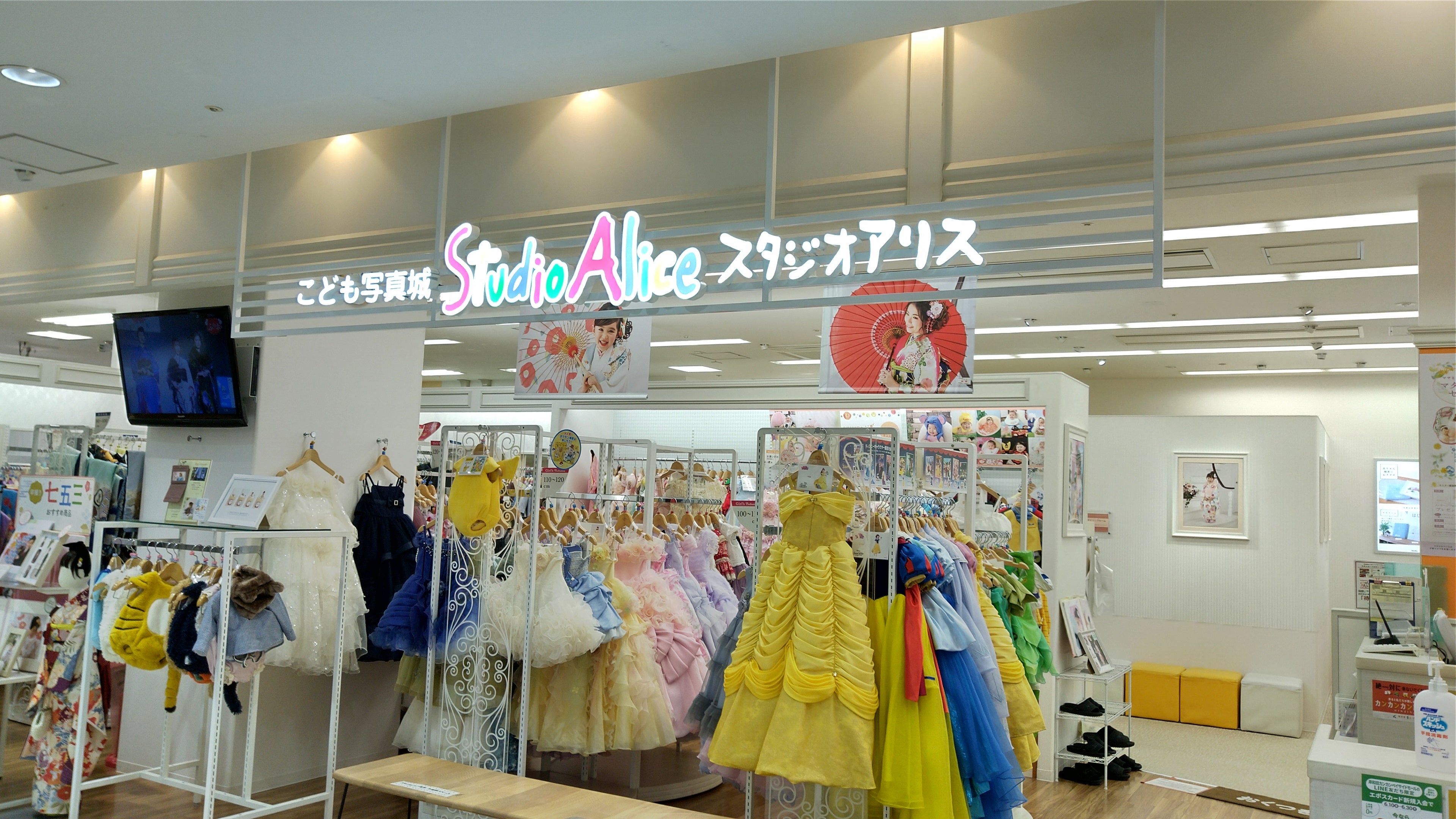 スタジオアリス貝塚店の口コミ真相！後悔しない料金裏ワザ【2026最新】