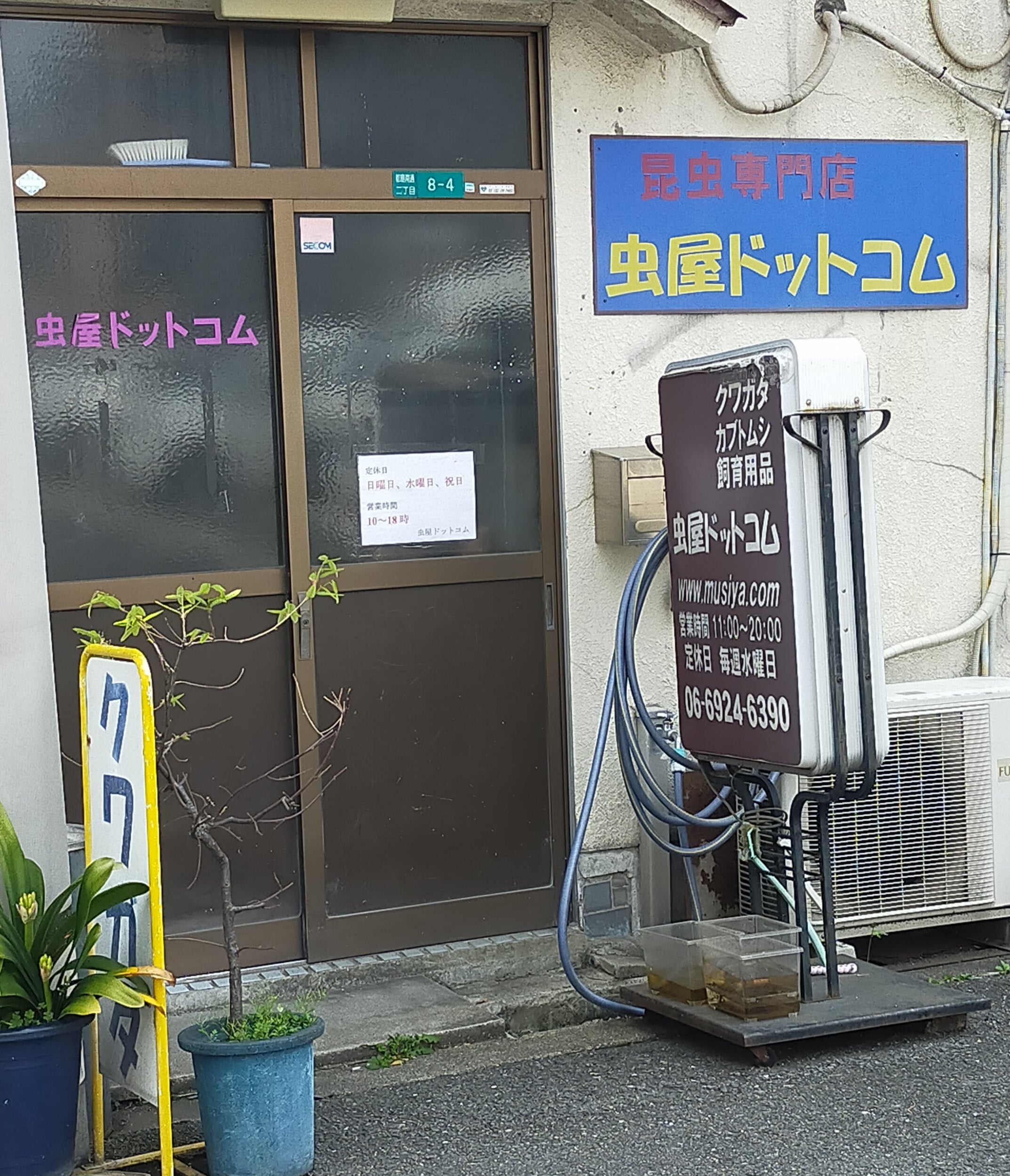 虫屋ドットコムの評判と口コミは？生体通販のトラブル真相を徹底検証
