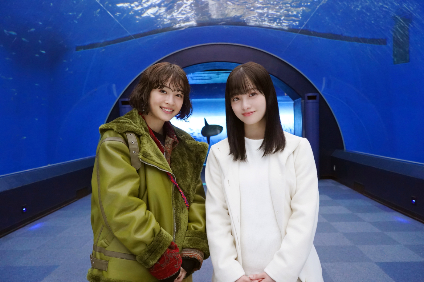 広瀬すずと橋本環奈の不仲説の真相｜共演歴と人気の違いを徹底検証