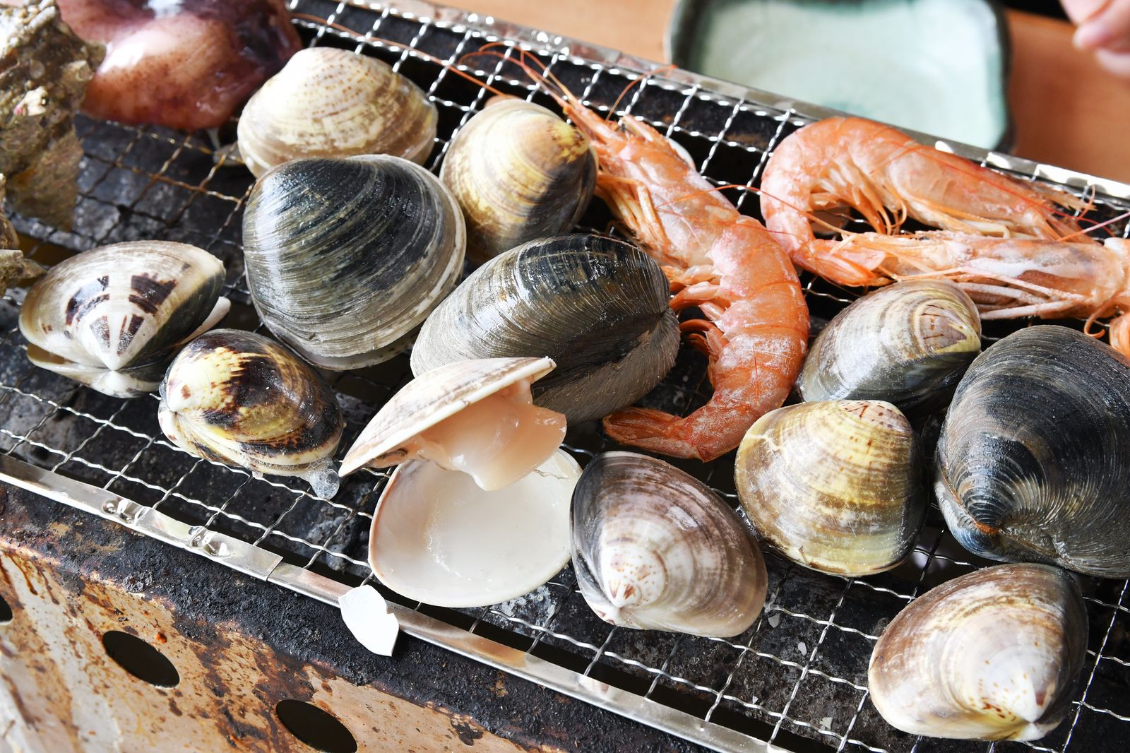 千葉の浜焼き食べ放題2026！名店比較と元を取る裏ワザ徹底解説