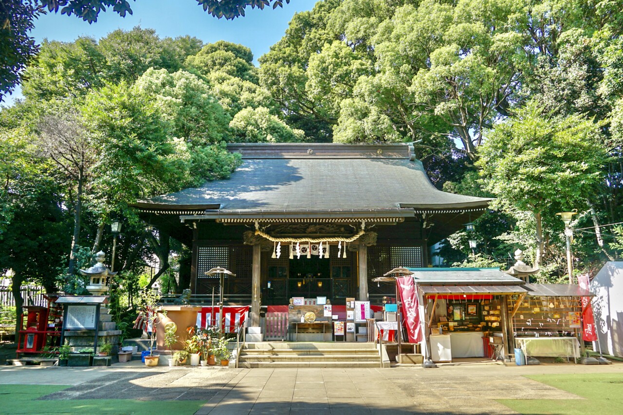 太子堂八幡神社の御朱印と猫の噂を追う！ご利益やアクセス徹底解剖