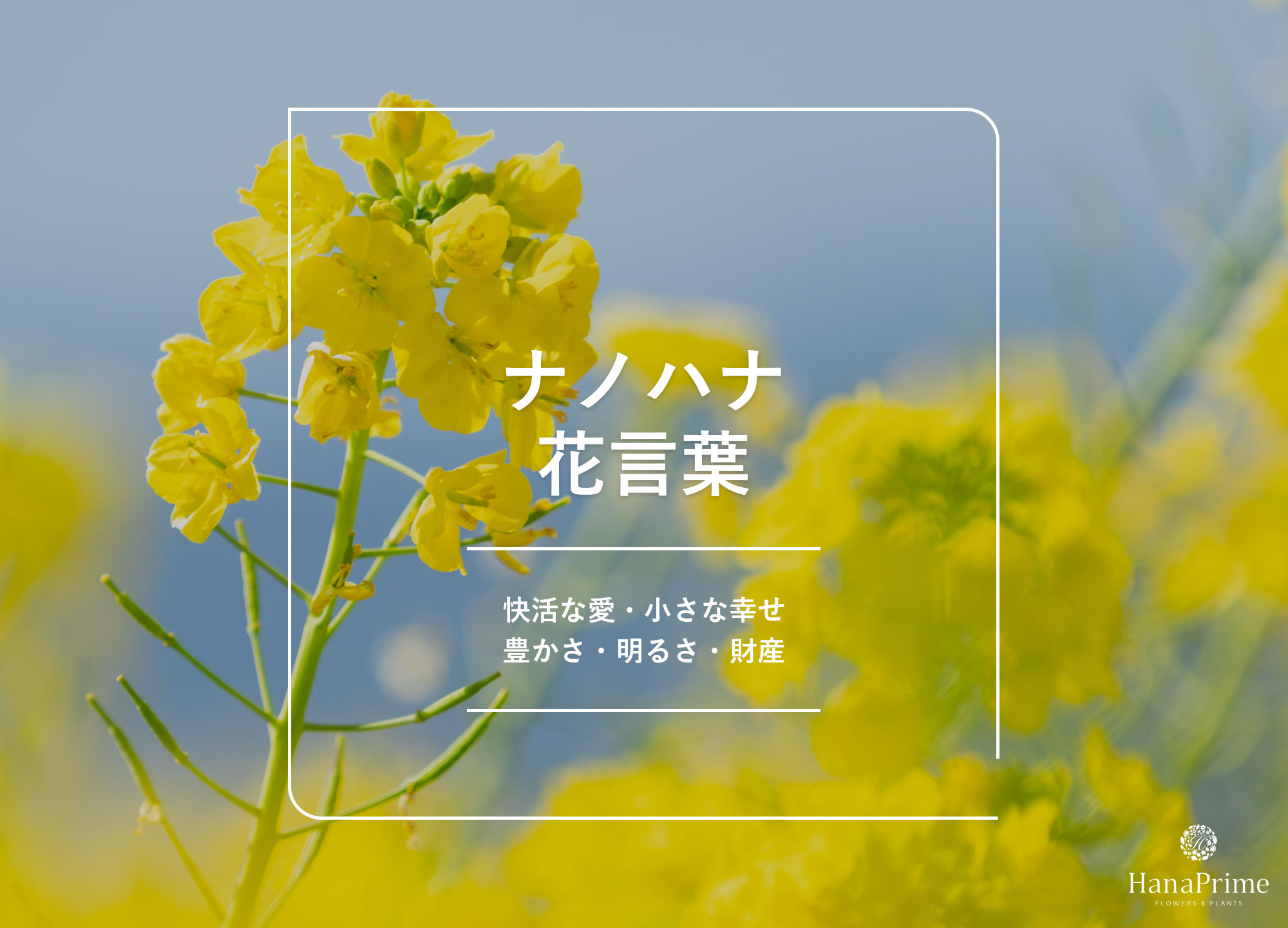 菜な花が消えた真相…2026年現在の姿と引退理由を独自調査