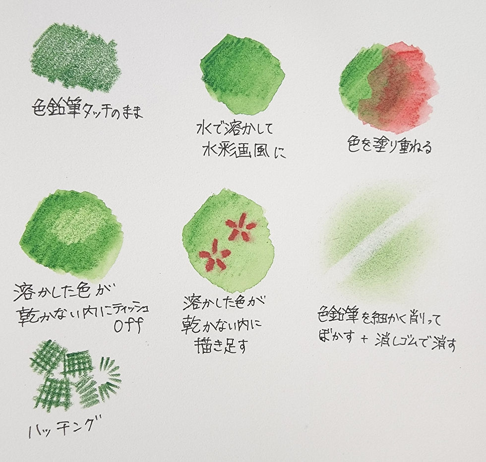 水彩色鉛筆の使い方｜プロ級の透明感を出す失敗しない技法と道具選び