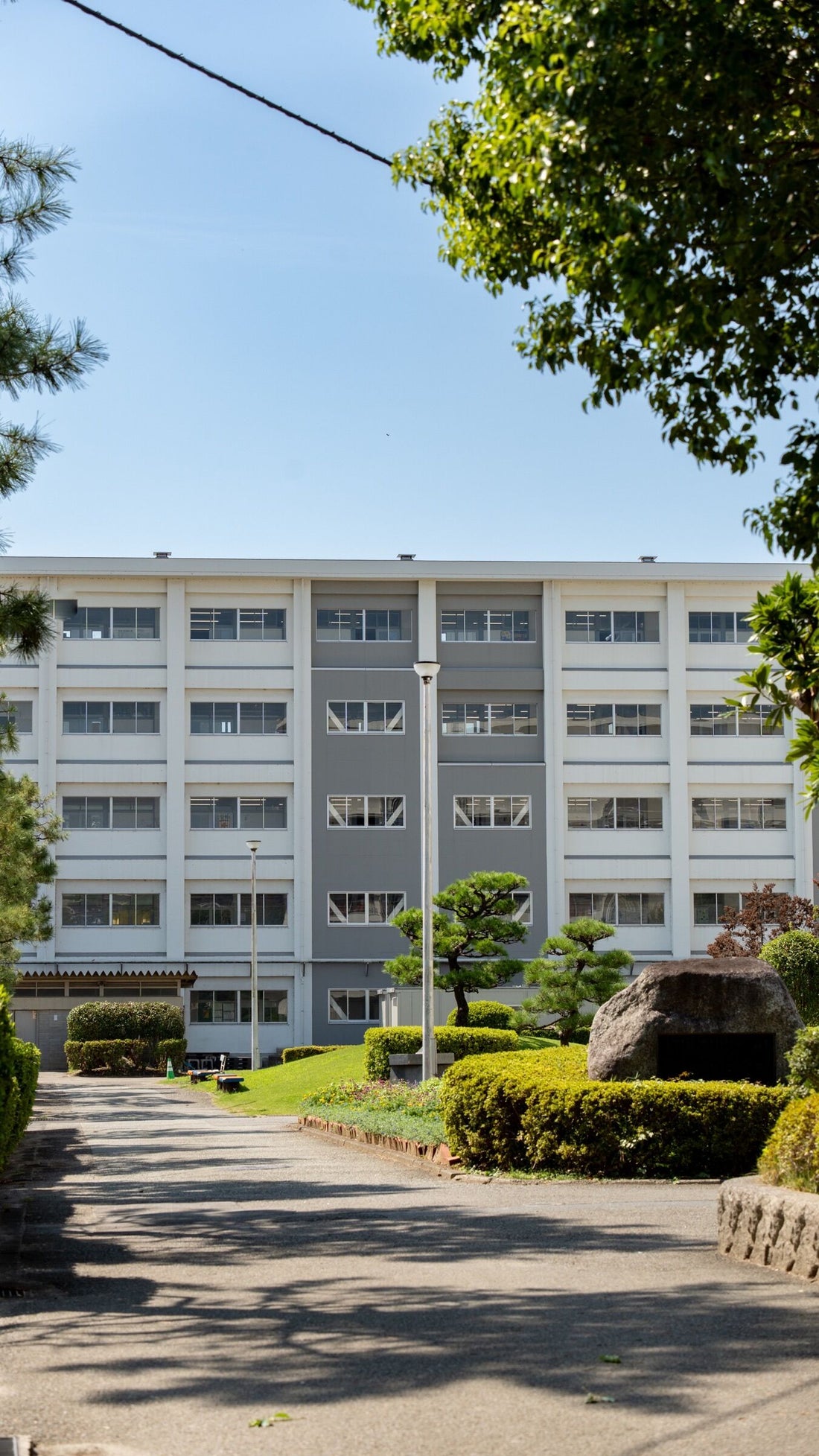 市ケ尾高校の倍率と偏差値2026｜進学実績とダンス部の強さの真相
