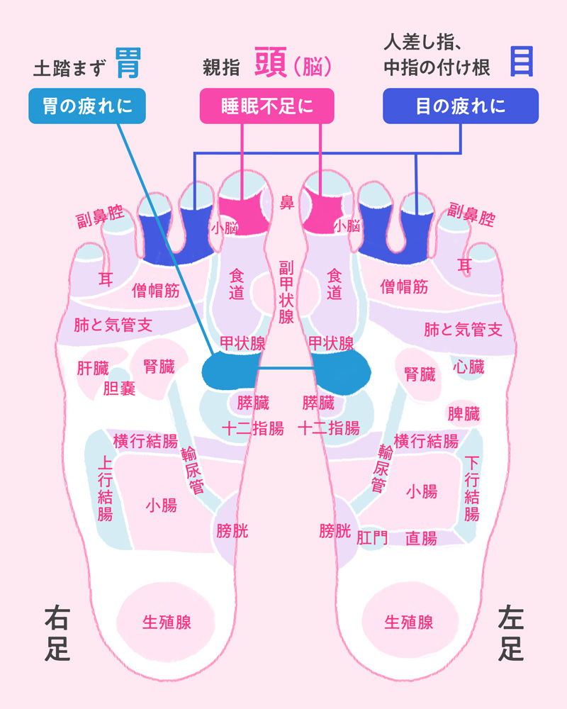足裏のツボが痛い理由とは？激痛の正体と場所別サインを徹底解説