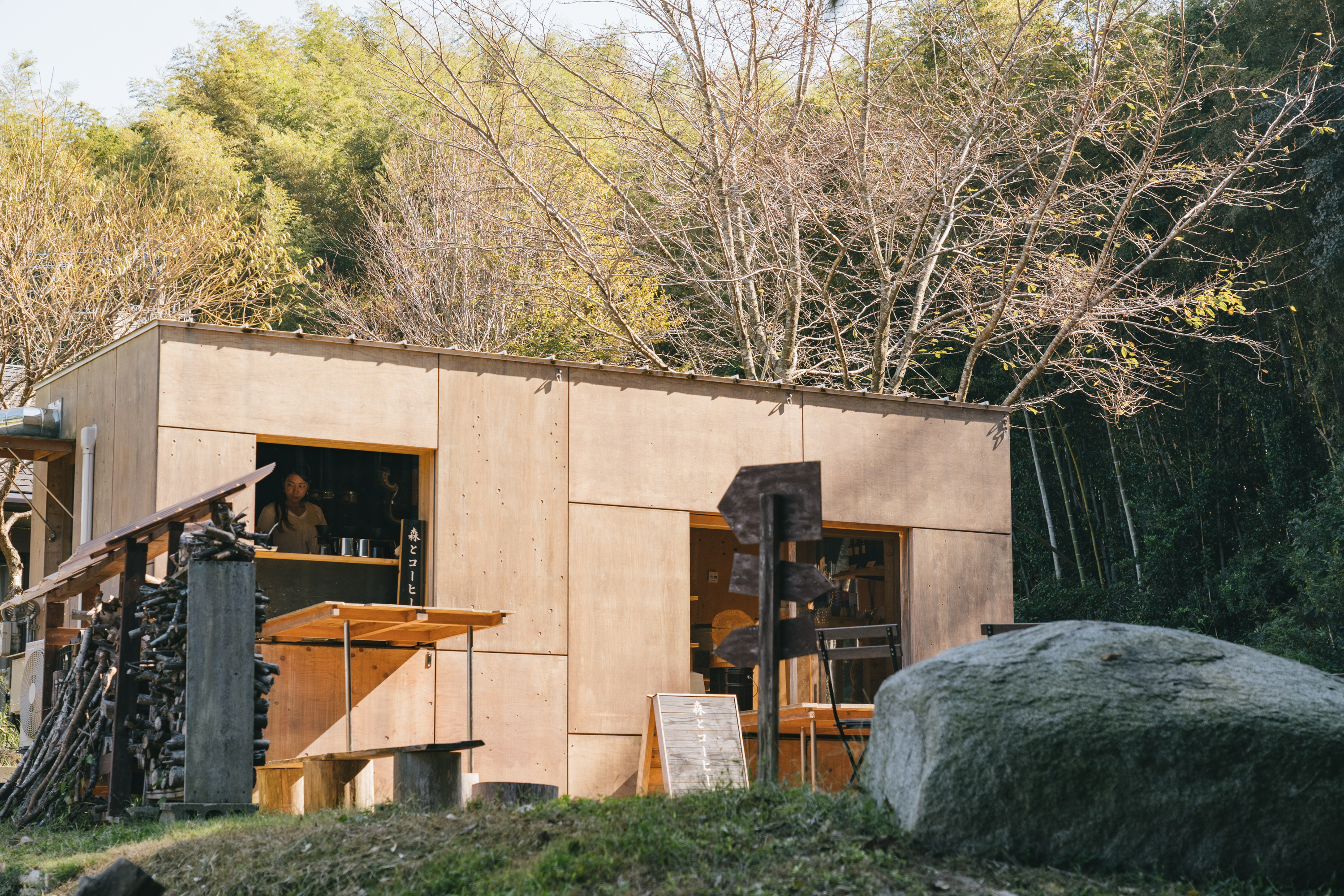 森とコーヒーが人を魅了する理由とは？糸島の実態や通販評判を徹底解剖