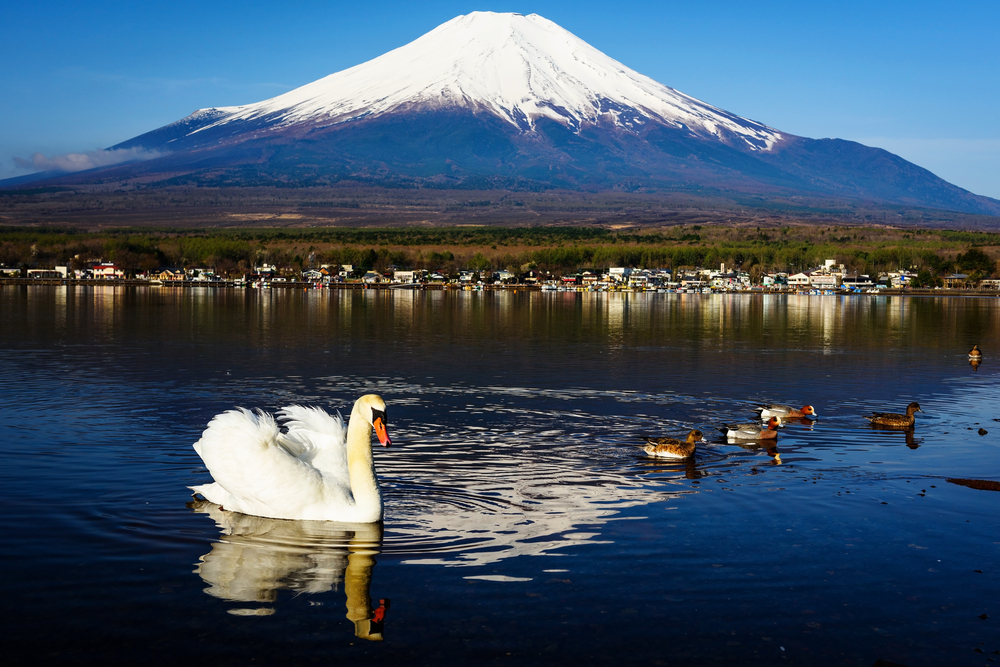 山中湖ペーパームーンの魅力と年齢制限の真相！名物パイと混雑攻略法