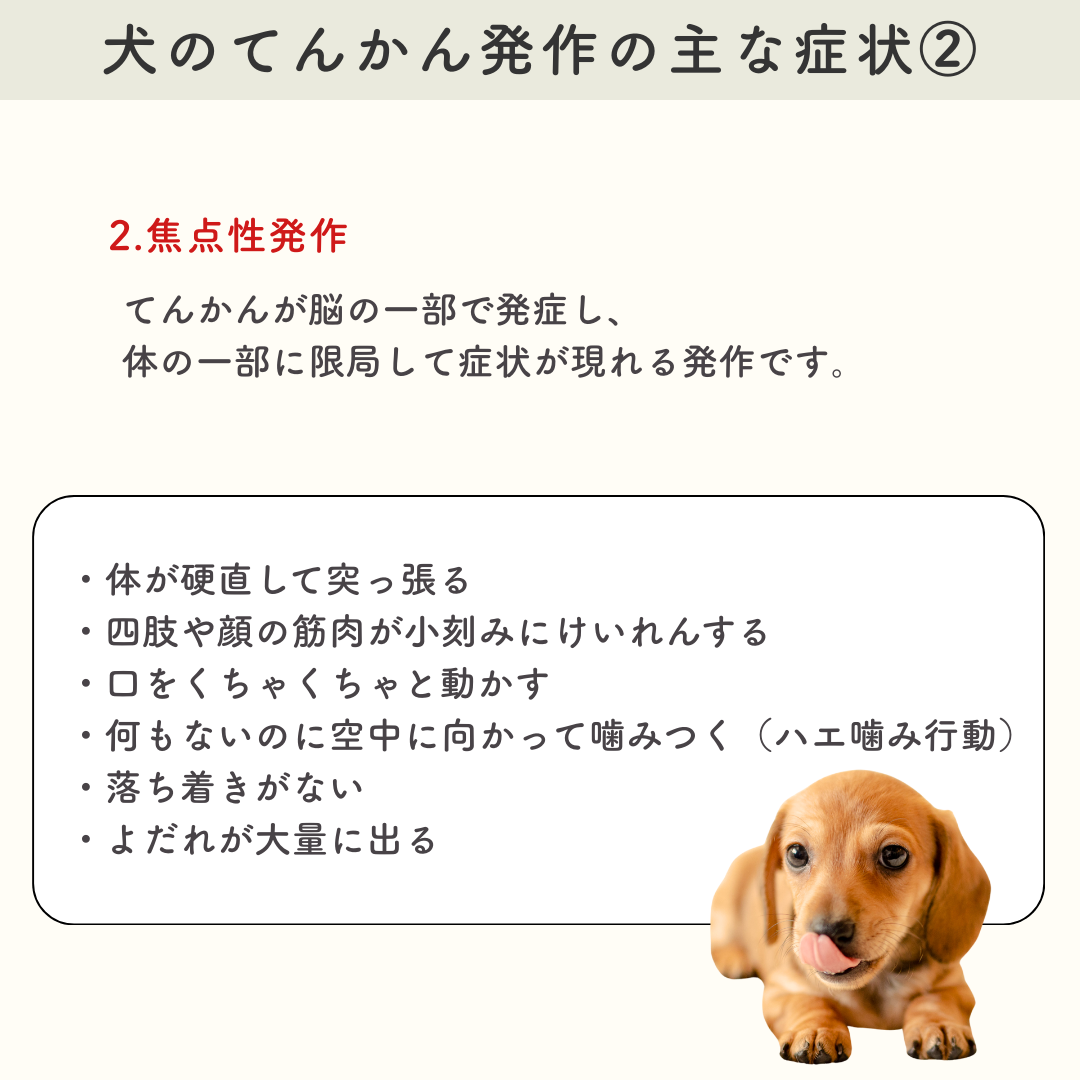 犬のてんかん症状と前兆サイン｜愛犬を守る発作時の対処法と検査費用