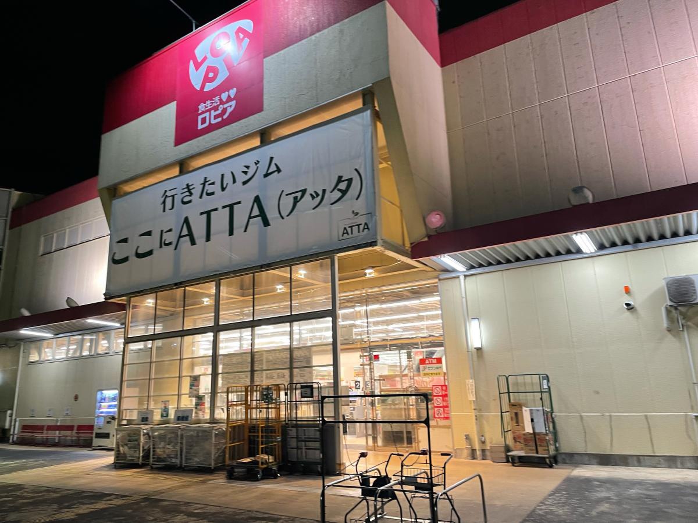 ロピア綾瀬店2026攻略ガイド！混雑ピークと特売の買い時・完全解説